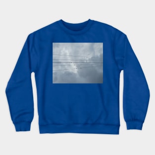 Birds on a wire Crewneck Sweatshirt